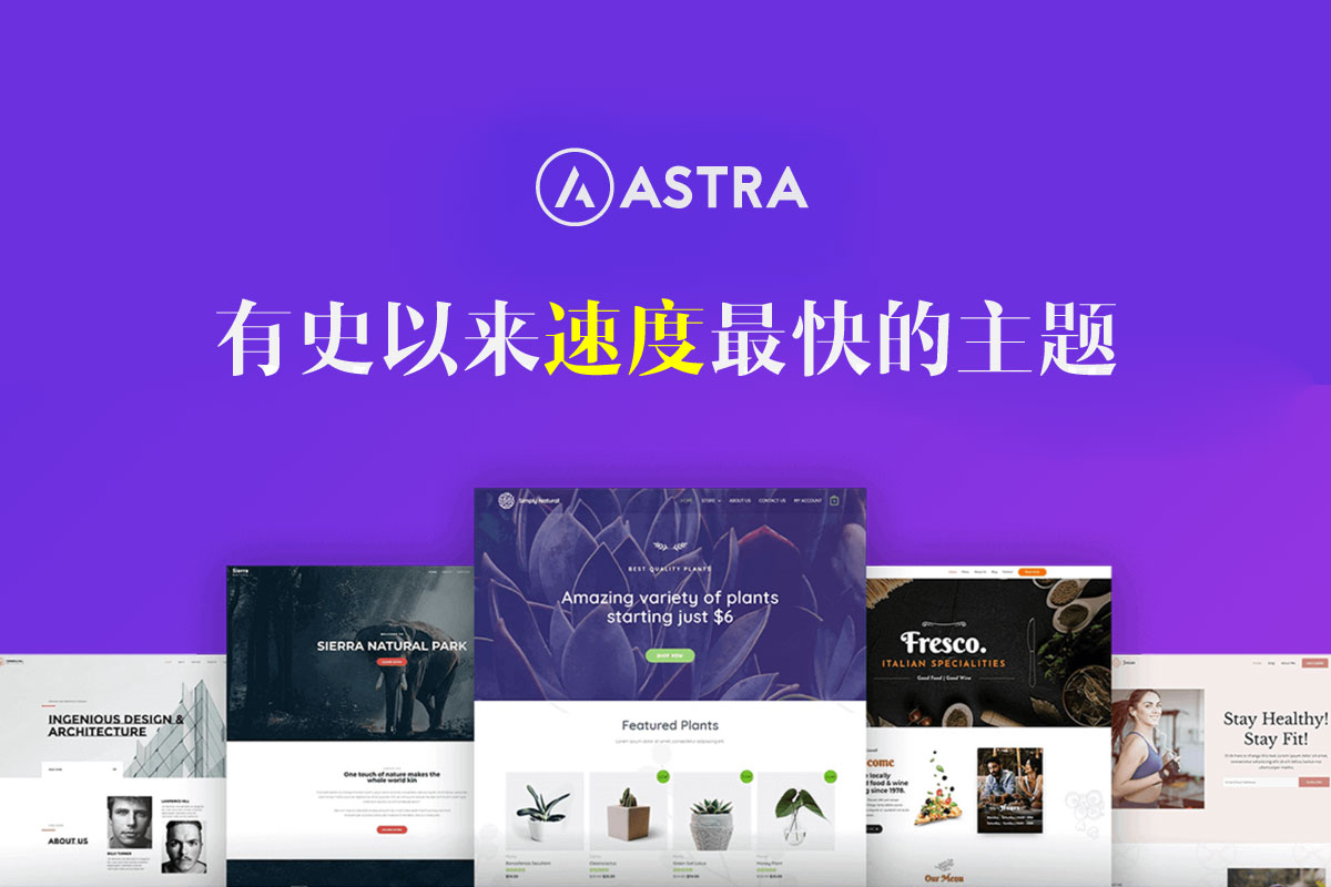 Astra主题汉化版 -史上最快的轻量化WordPress通用主题