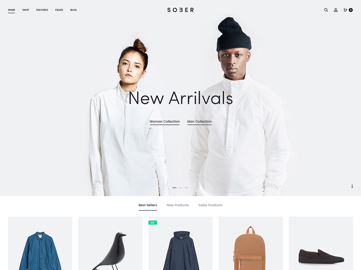 Sober主题汉化版 – WordPress WooCommerce高级商城主题（含核心插件）