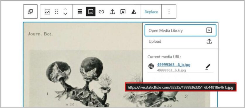 在 WordPress 6.2 BETA 中使用 URL 上传的 Openverse 图像